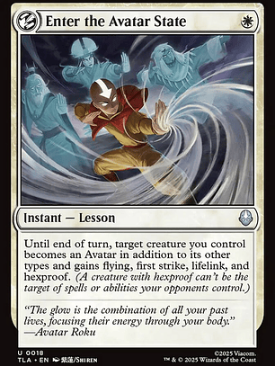 Enter the Avatar State (Avatar: The Last Airbender)