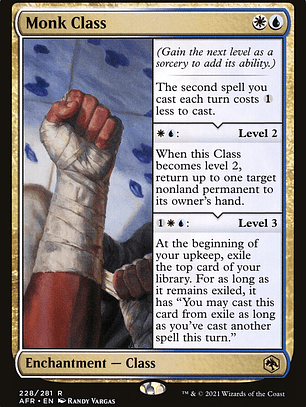 Monk Class (Adventures in the Forgotten Realms)