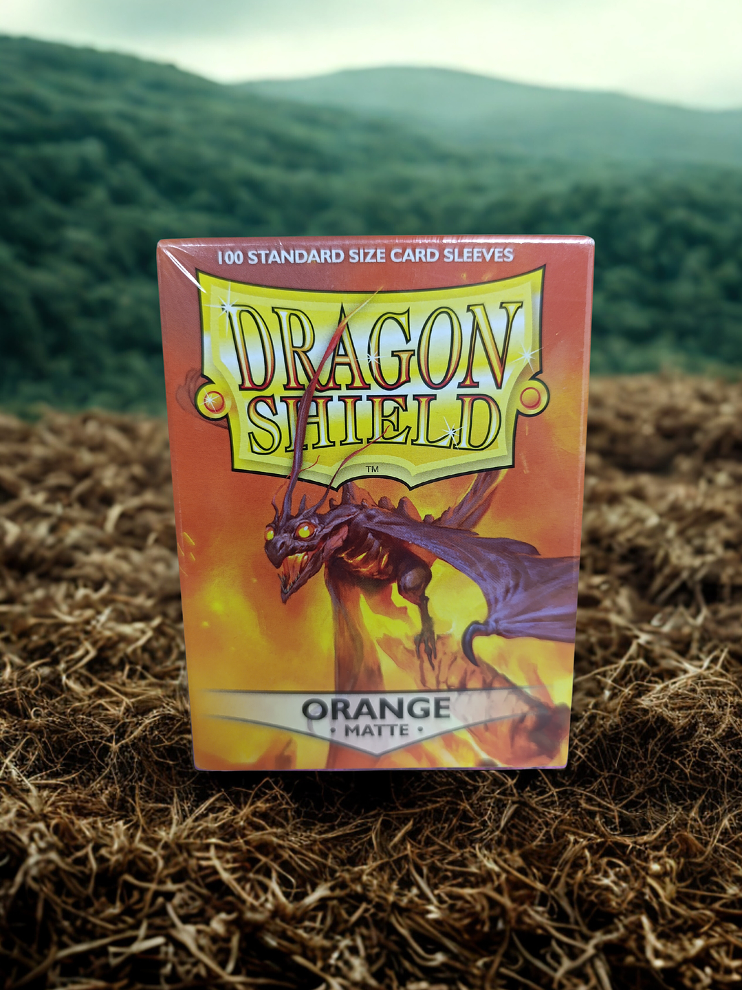 Folios Dragon Shield 14