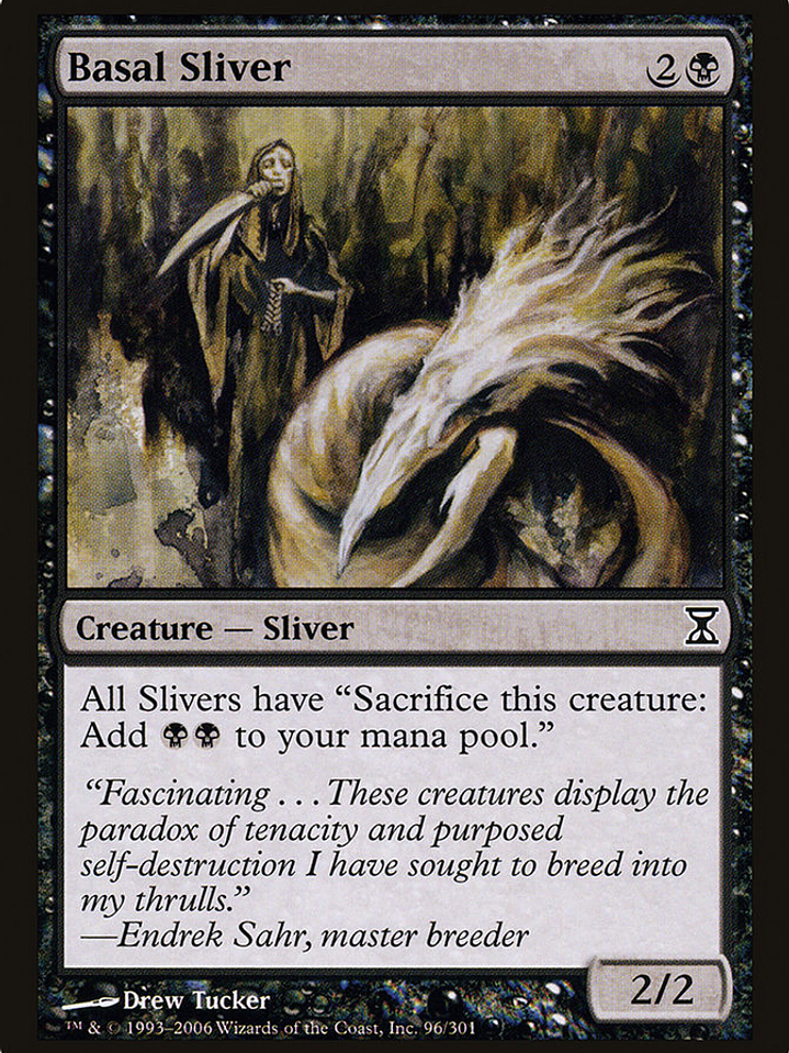 Basal Sliver (Time Spiral) 1