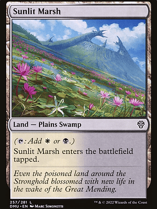 Sunlit Marsh (Dominaria United)