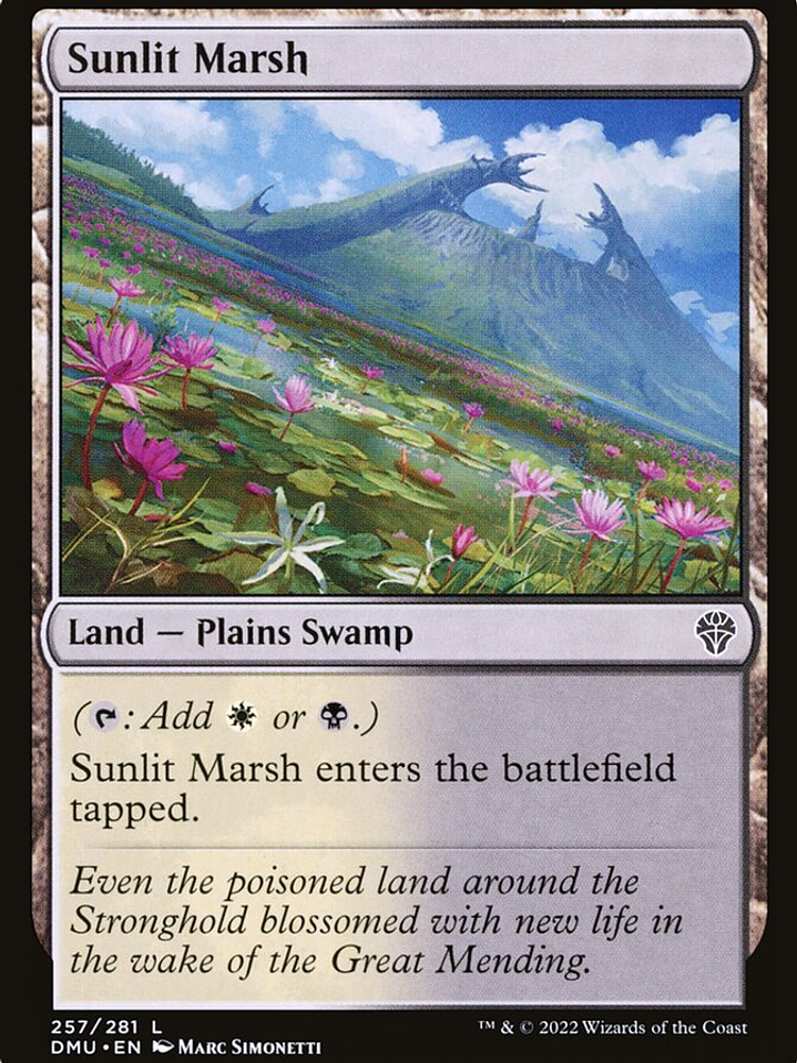 Sunlit Marsh (Dominaria United) 1