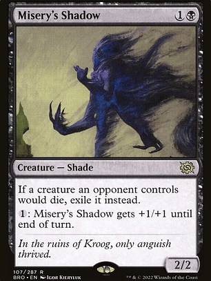 Misery's Shadow (The Brothers' War)