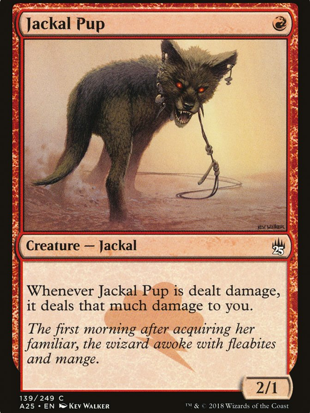 Jackal Pup (Masters 25) 1