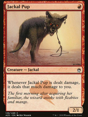 Jackal Pup (Masters 25)