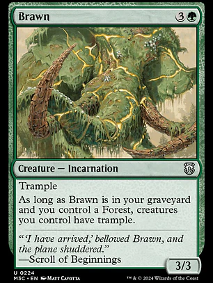 Brawn (Modern Horizons 3 Commander)
