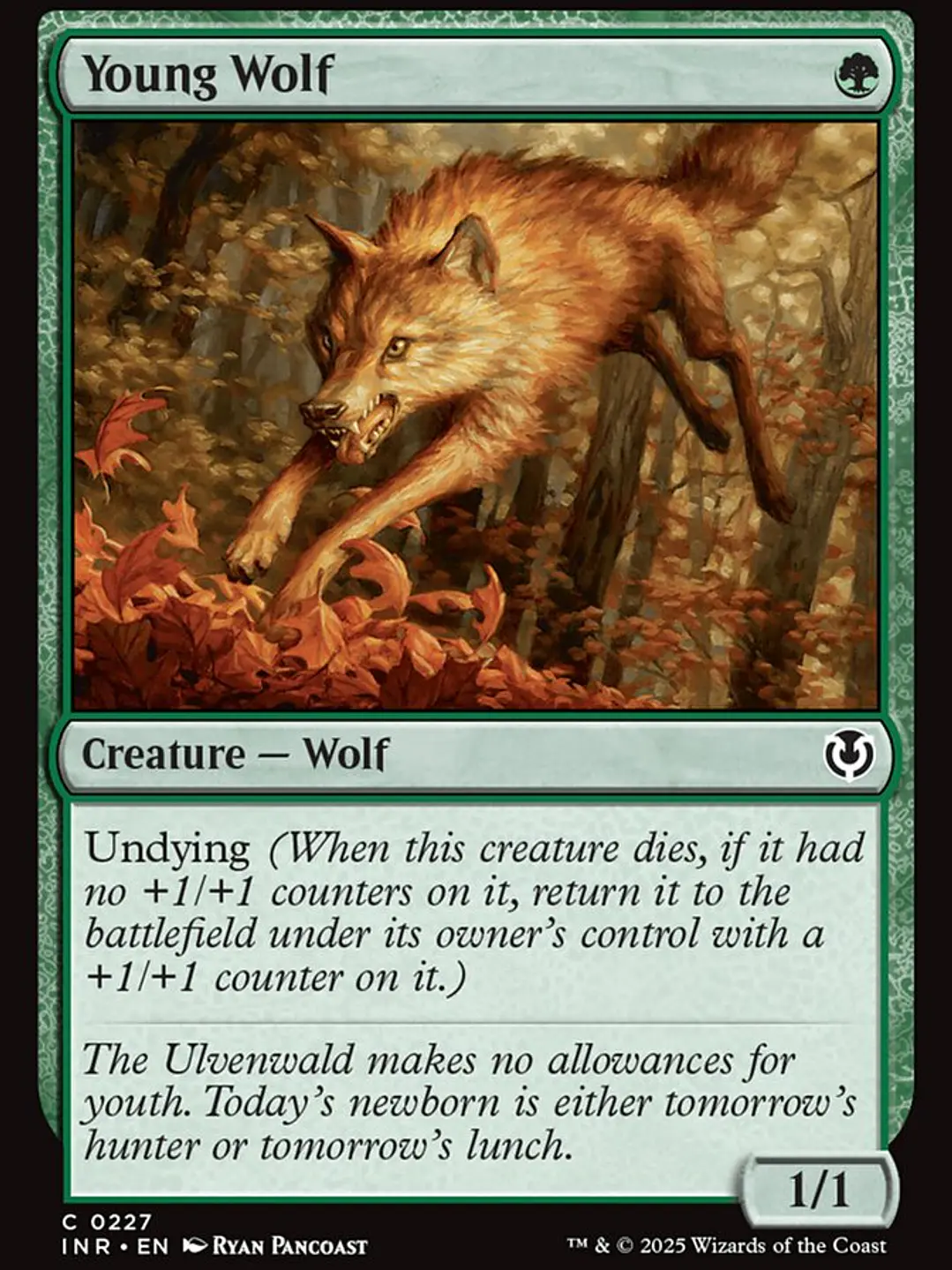 Young Wolf (Innistrad Remastered) 1