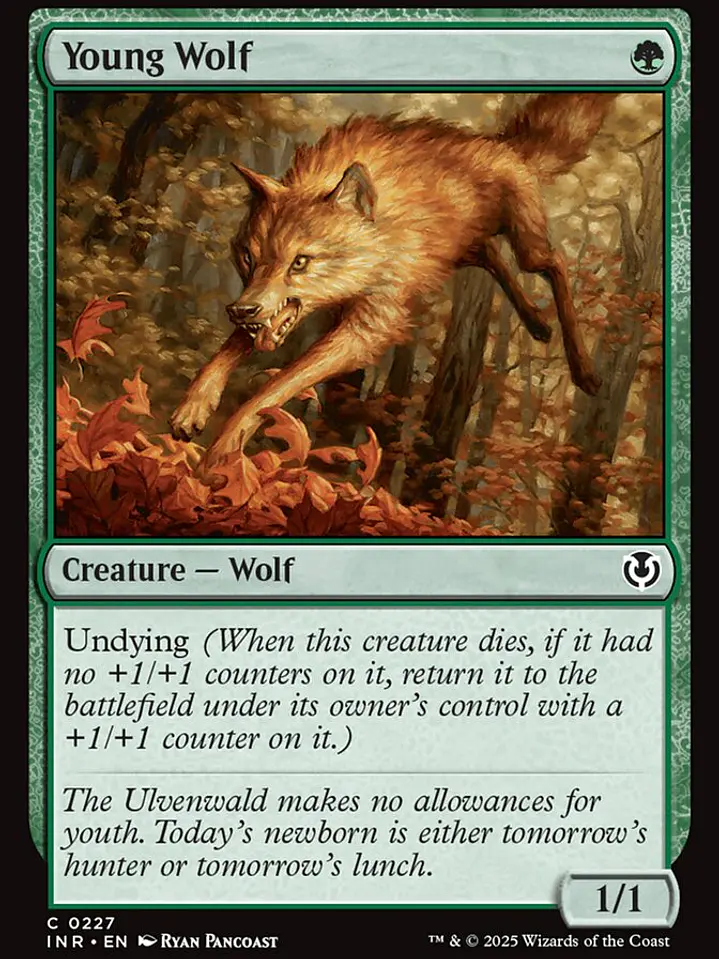 Young Wolf (Innistrad Remastered) 1