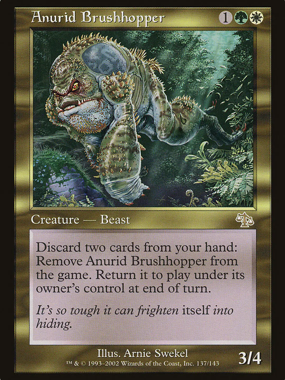Anurid Brushhopper (Judgment) 1