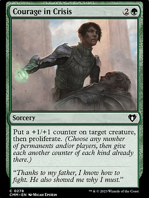 Courage in Crisis (Commander Masters)