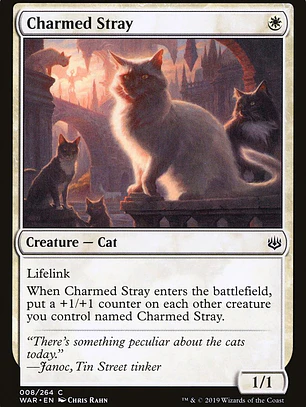 Charmed Stray (War of the Spark)