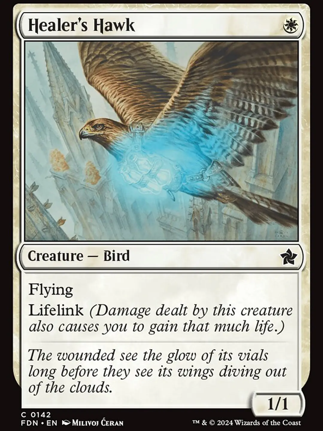 Healer's Hawk (Foundations) 1