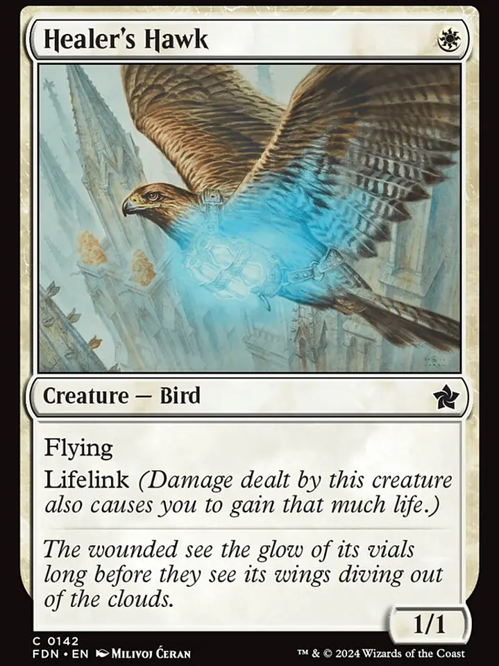 Healer's Hawk (Foundations) 1