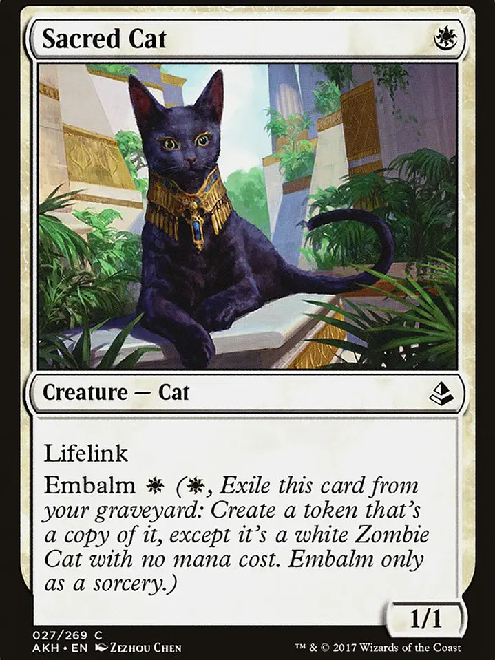 Sacred Cat (Amonkhet) 1