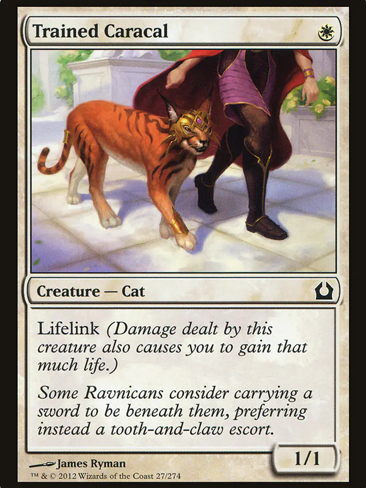 Trained Caracal (Return to Ravnica) 1
