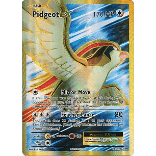 Pidgeot EX - 104/108