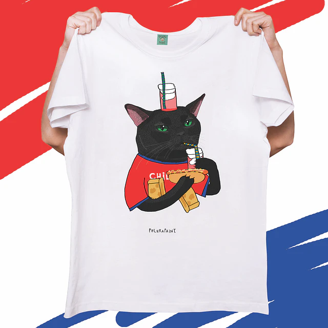 GATO DIECIOCHO