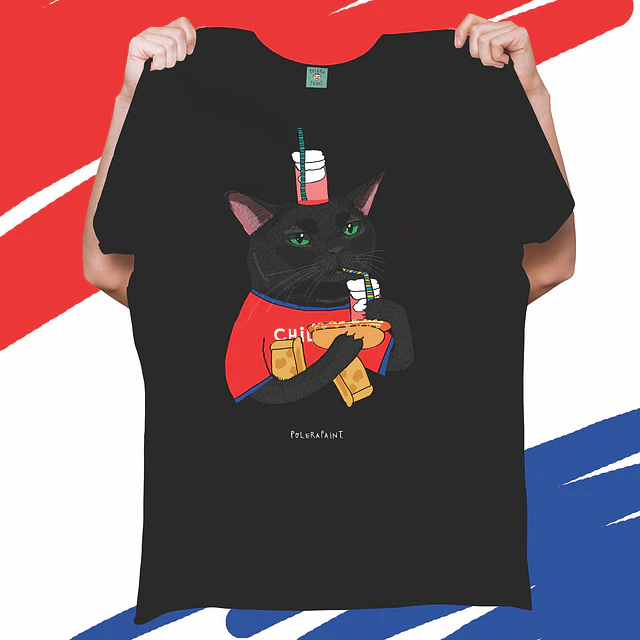 GATO DIECIOCHO
