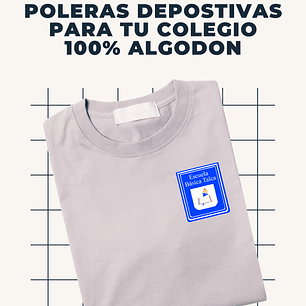 Escuela Basica Talca