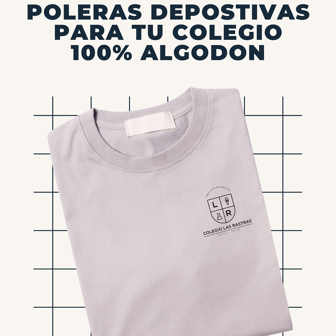 Colegio Las Rastras 1