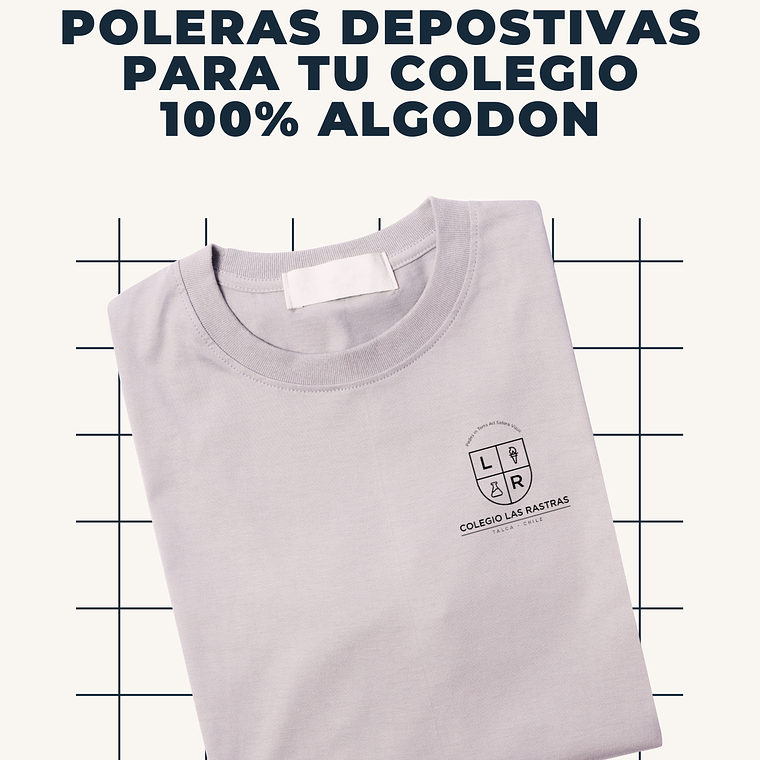 Colegio Las Rastras 1