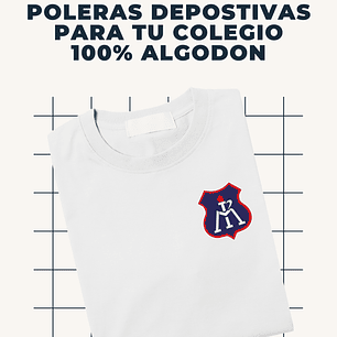 INSTITUTO REGIONAL DEL MAULE