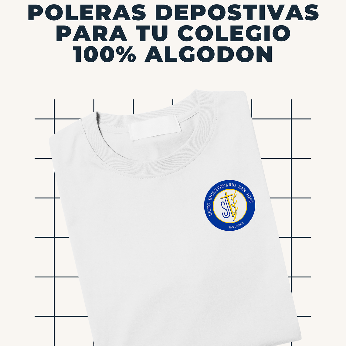 LICEO BICENTENARIO SAN JAVIER 1