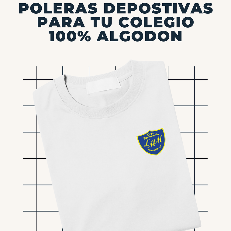 LICEO MANUEL MONTT SAN JAVIER 1