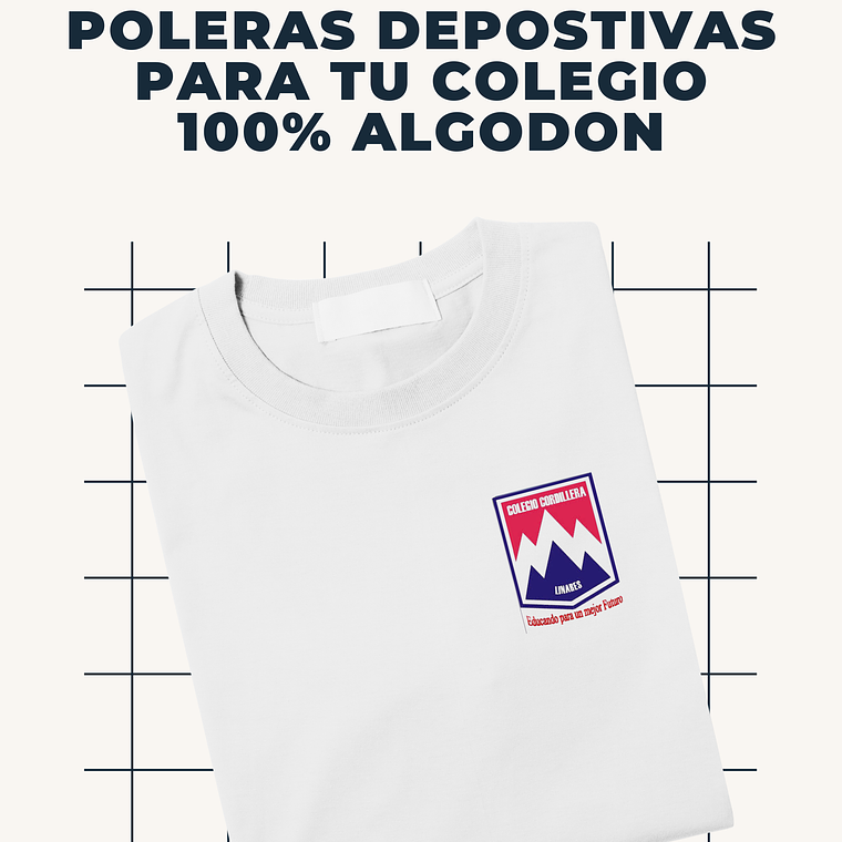 COLEGIO CORDILLERA LINARES 1