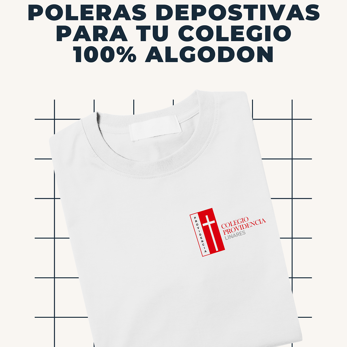 COLEGIO PROVIDENCIA LINARES Y PARRAL 1