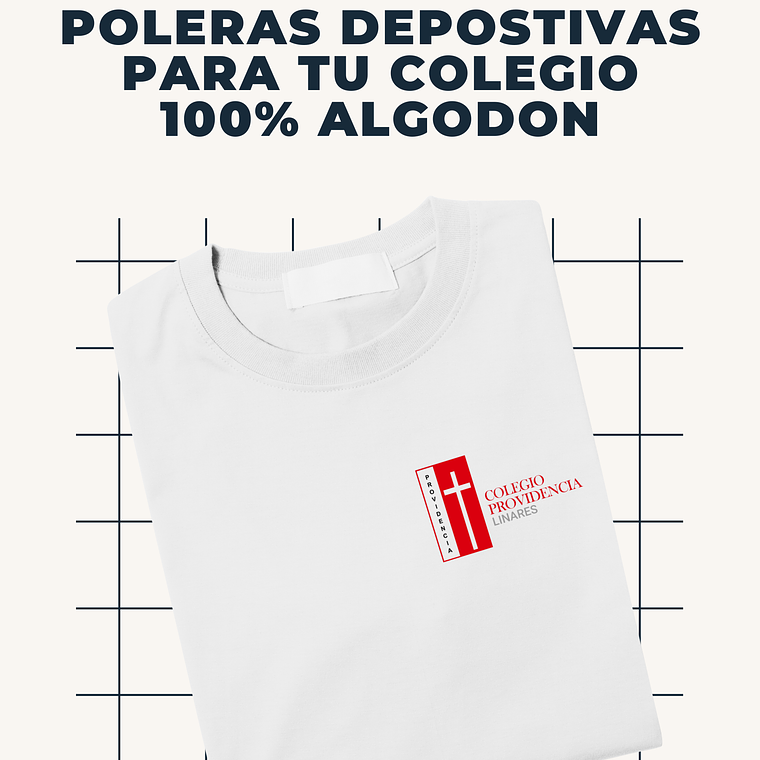 COLEGIO PROVIDENCIA LINARES Y PARRAL 1