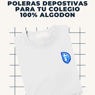 LICEO BICENTENARIO SAN MIGUEL LINARES