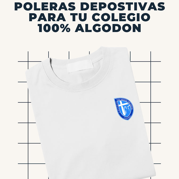 LICEO BICENTENARIO SAN MIGUEL LINARES 1