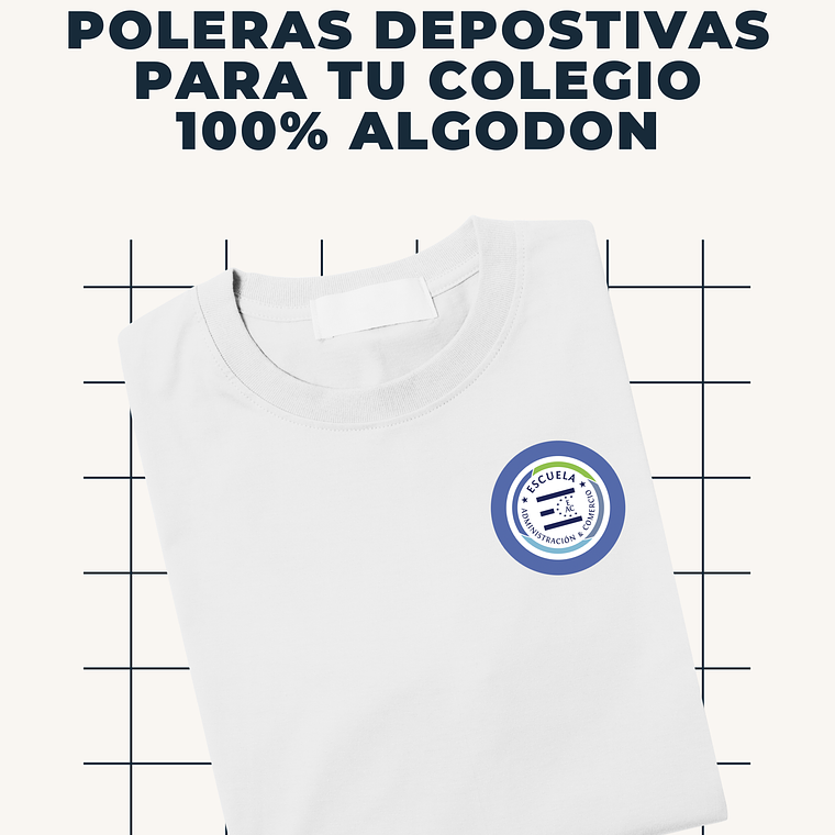 LICEO BICENTENARIO 1