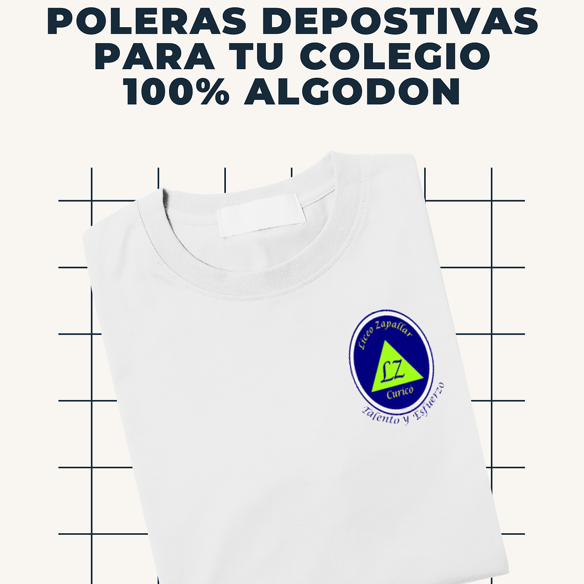 LICEO BICENTENARIO ZAPALLAR 1