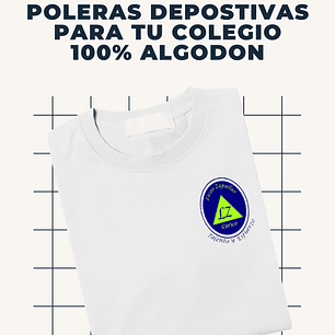 LICEO BICENTENARIO ZAPALLAR