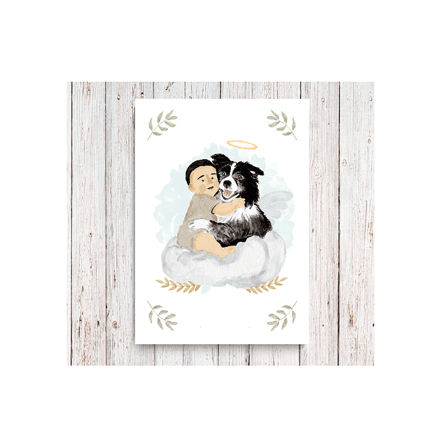 Santito Angelito Collie