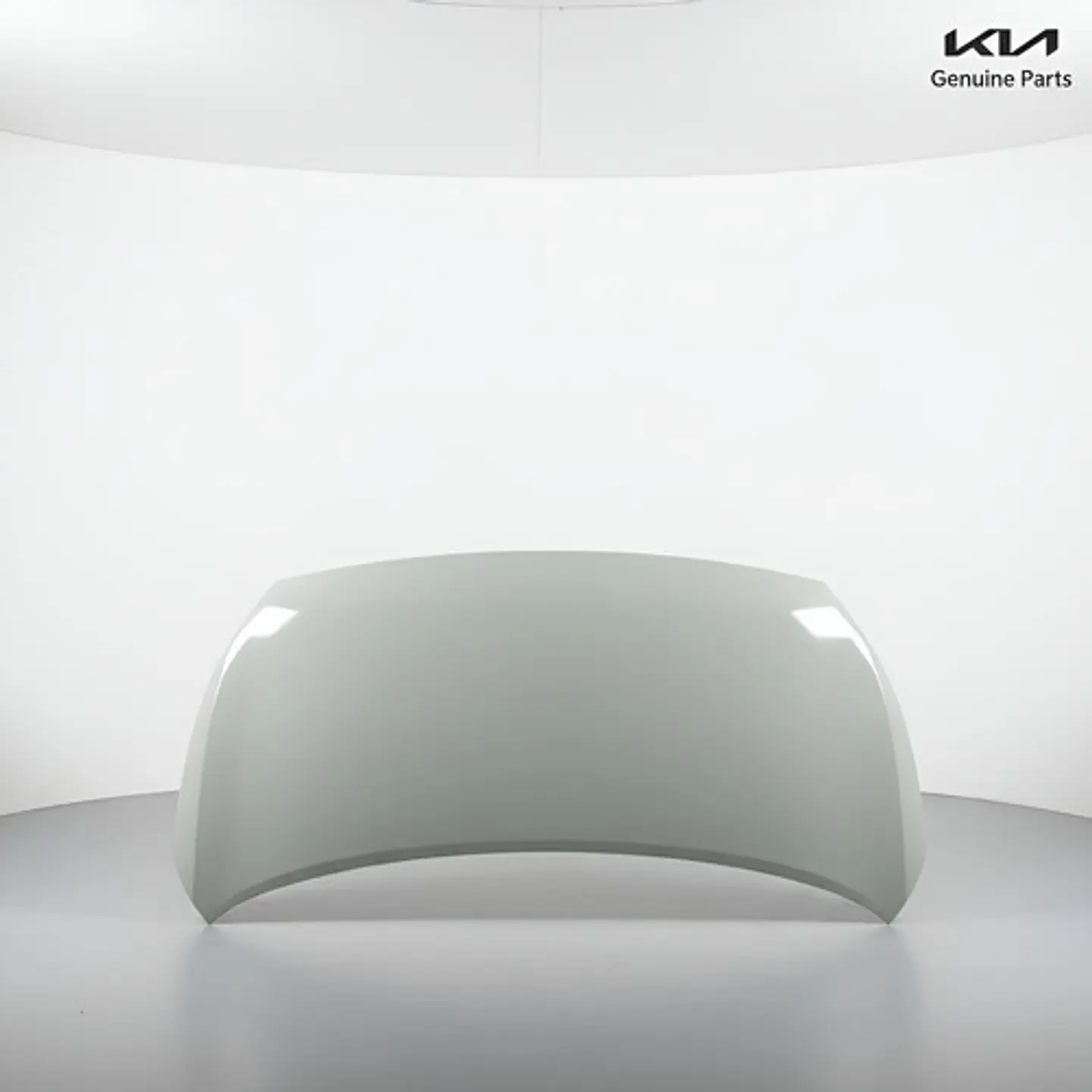 Capot Motor Para Modelo Kia Morning 2017-2025 3