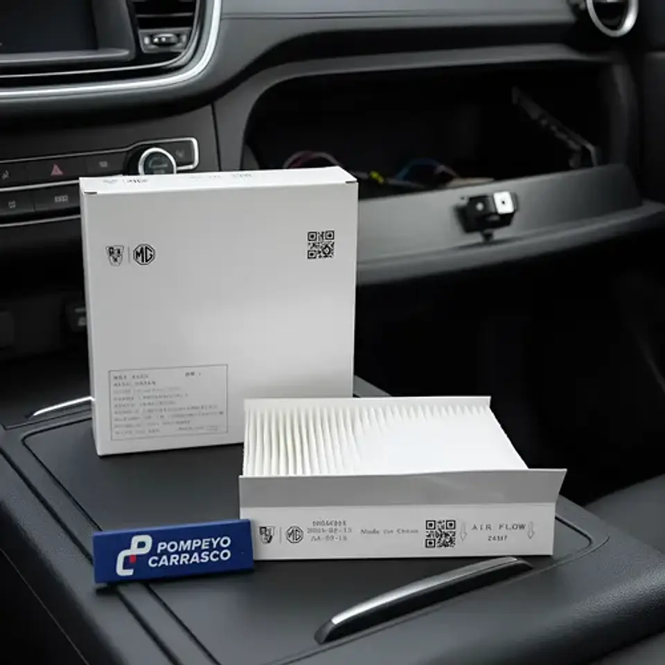 Filtro De Polen Mg Zs (2022-2024) 2