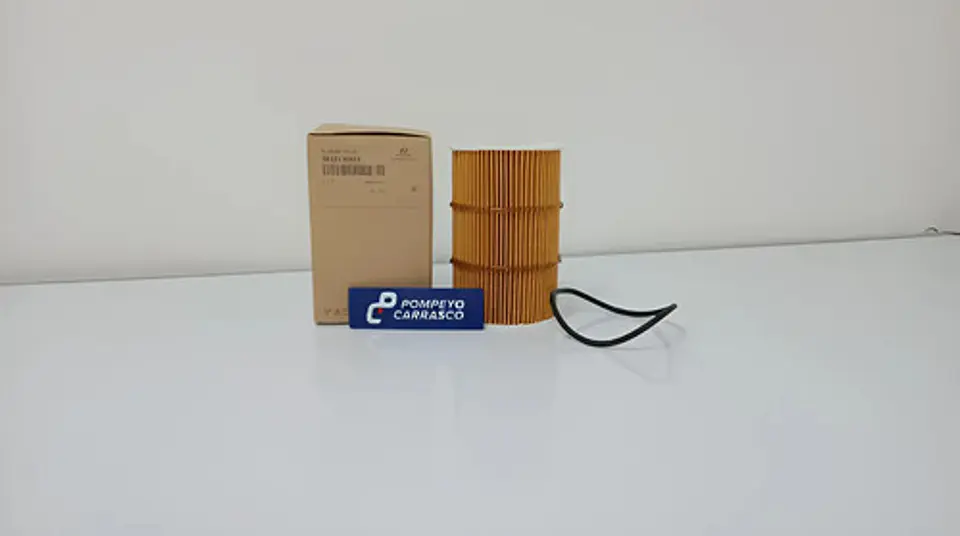 Elemento Filtro De Aceite Hyundai Ex9 (2013-2023) 1