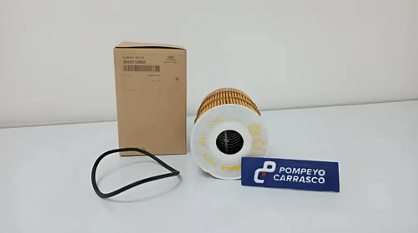 Elemento Filtro De Aceite Hyundai Ex9 (2013-2023) 4