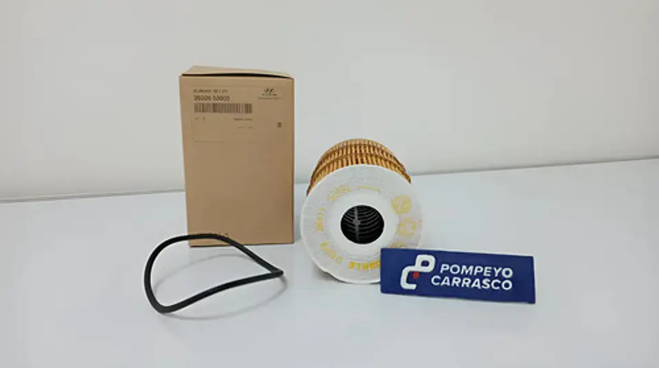 Elemento Filtro De Aceite Hyundai Ex9 (2013-2023) 4