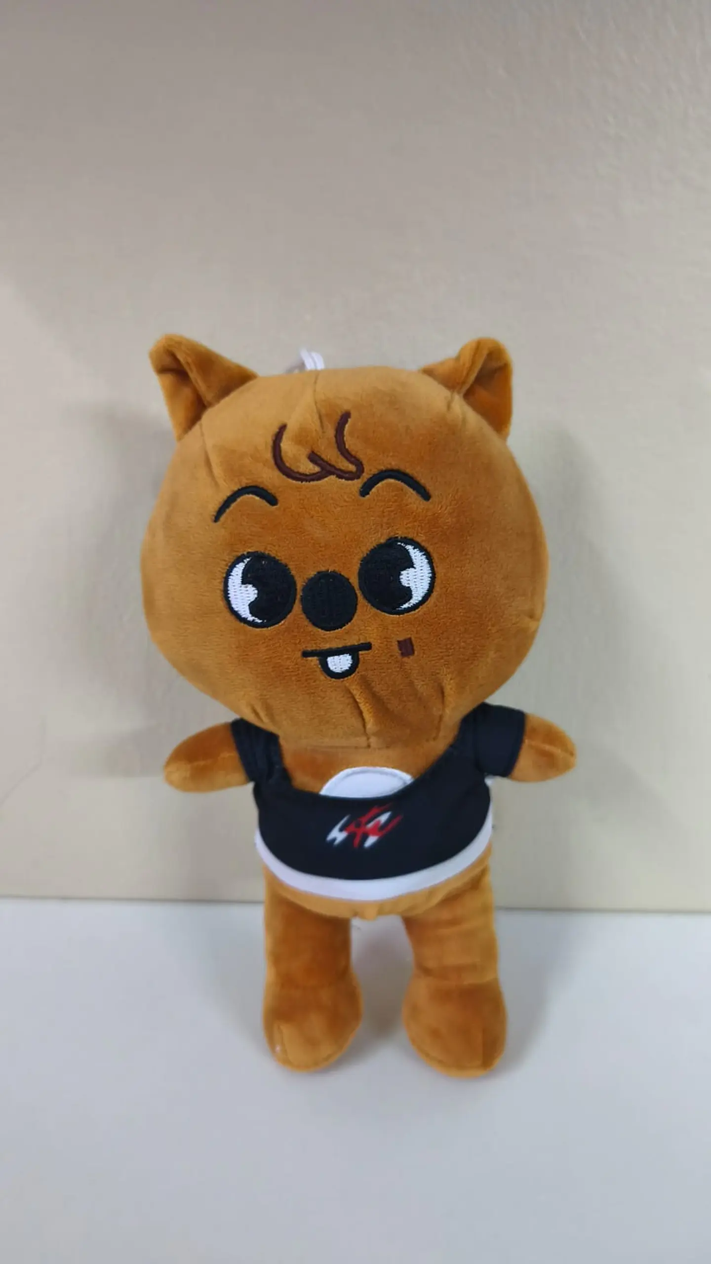 Skzoo Han (Stray Kids) 1