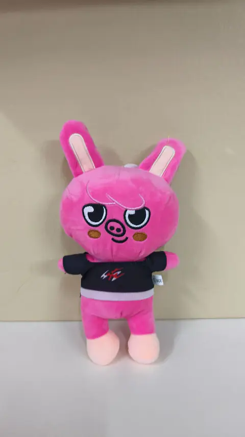 Peluche Changbin (Stray Kids)