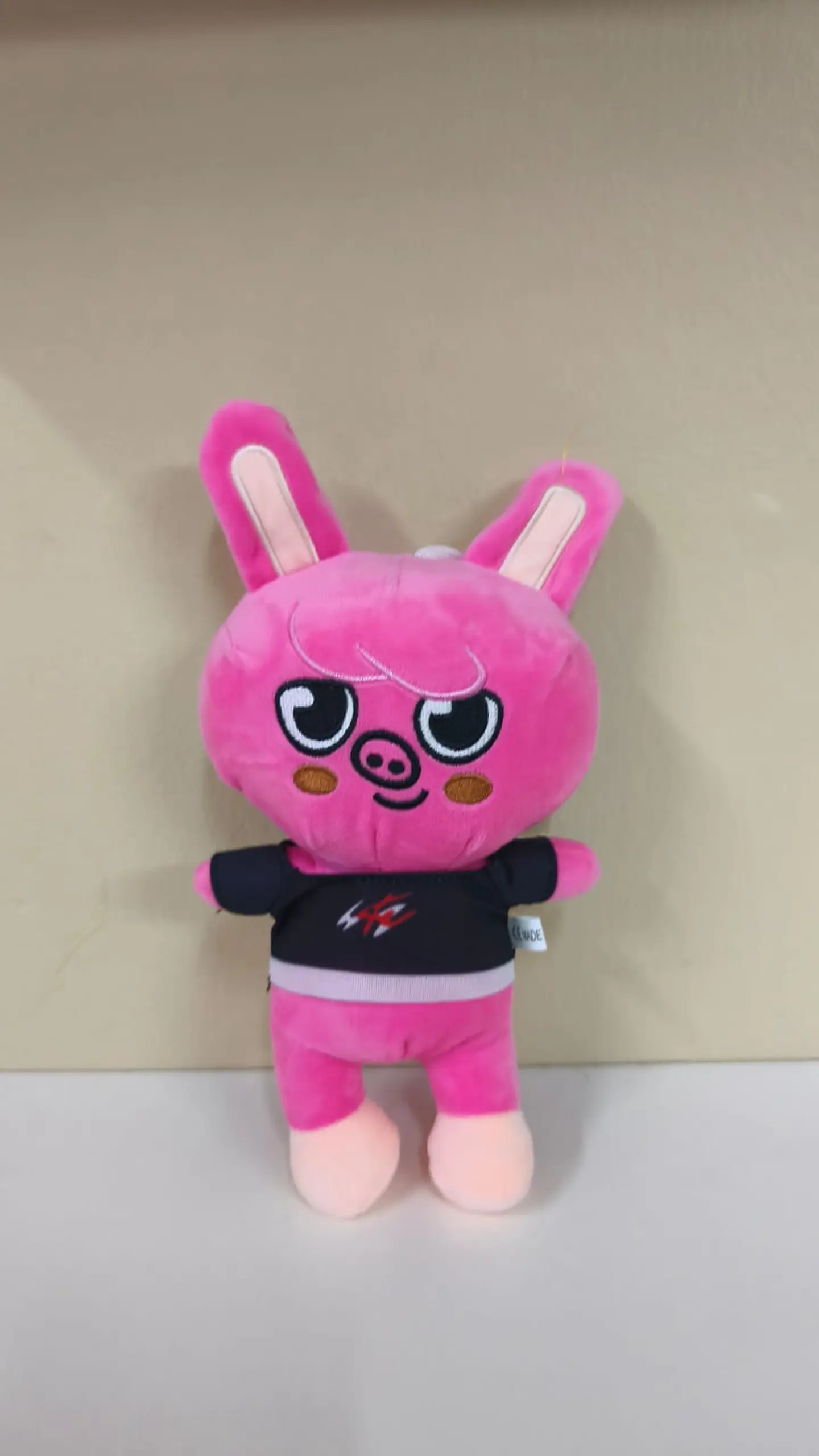 Peluche Changbin (Stray Kids) 1