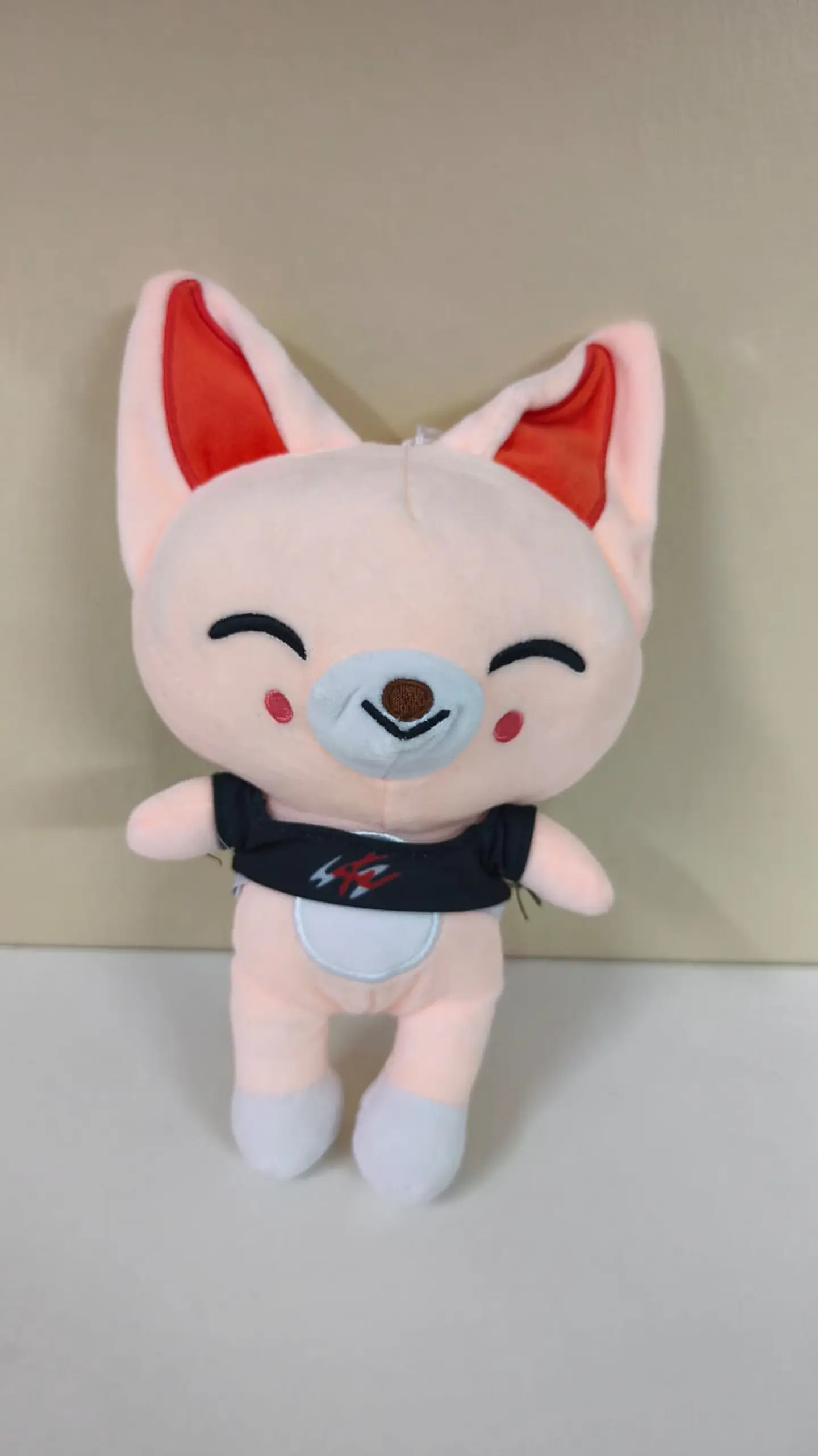 Peluche I.n (Skzoo - Stray Kids) 1