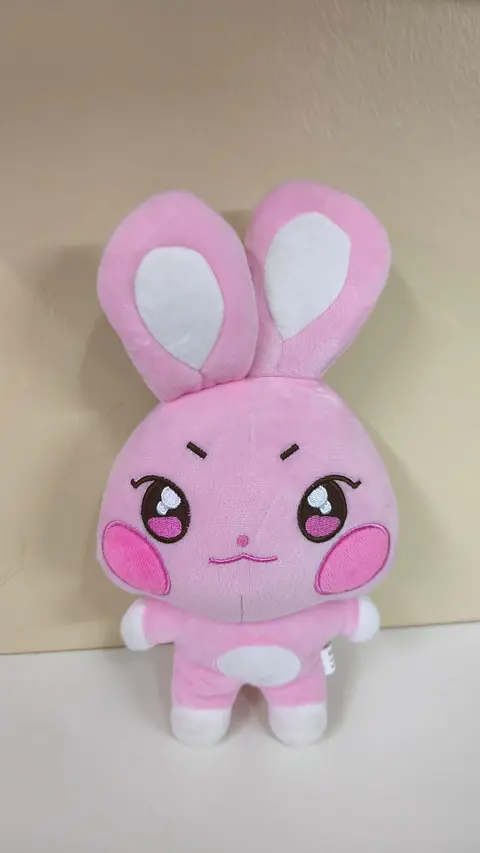Peluche SeongHwa (Aniteez - Ateez)