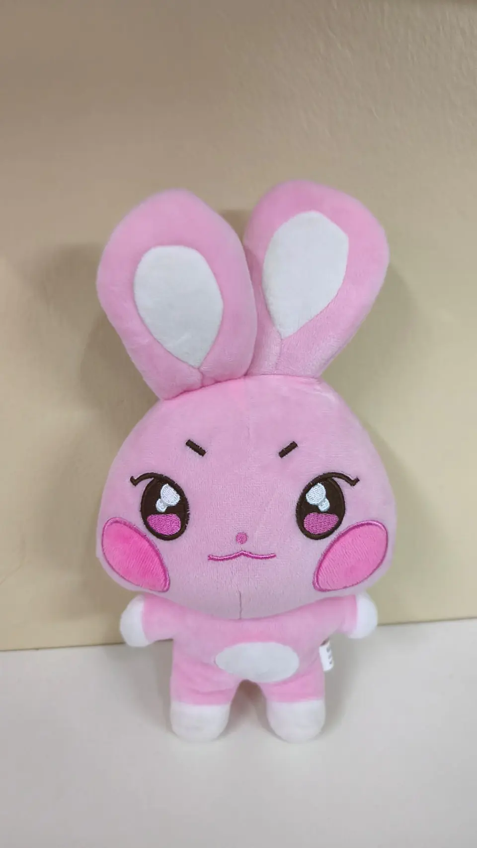 Peluche SeongHwa (Aniteez - Ateez) 1
