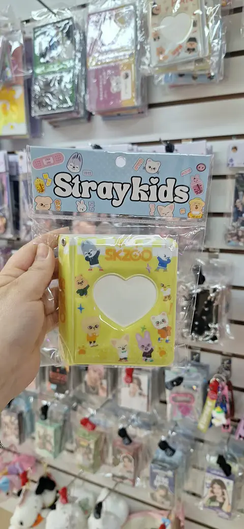Binder Stray Kids (38 pcs)
