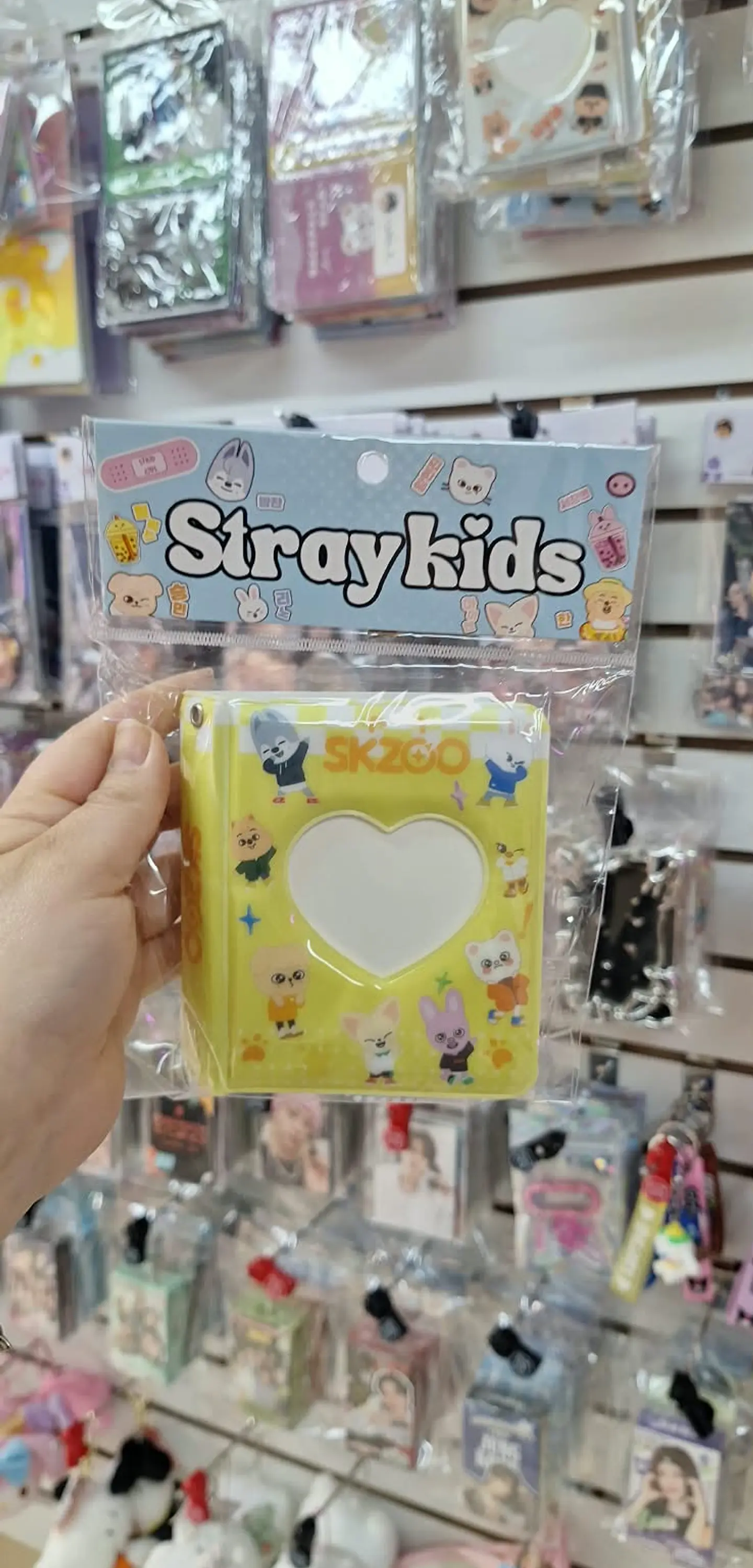 Binder Stray Kids (38 pcs) 1